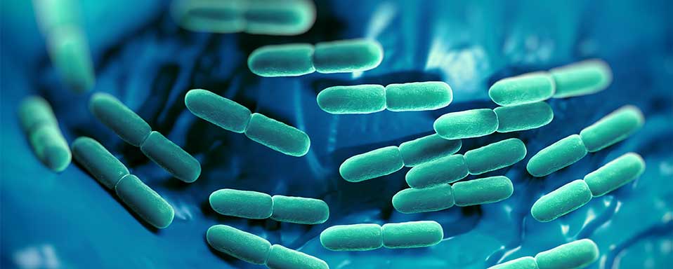 평생 구강 관리 - 구강 박테리아 테라피